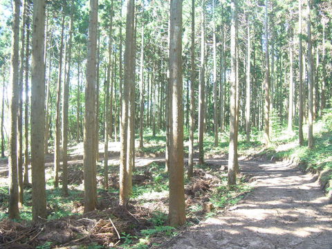 富山県西部森林組合